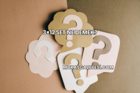 3×12 Set Ne Demek?
