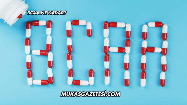 BCAA Ne Kadar?