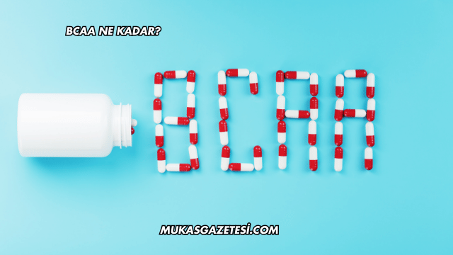 BCAA Ne Kadar?