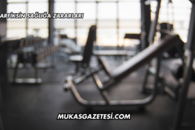 Barfiksin Sağlığa Zararları