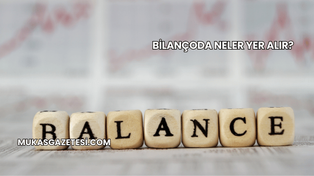 Bilançoda Neler Yer Alır?