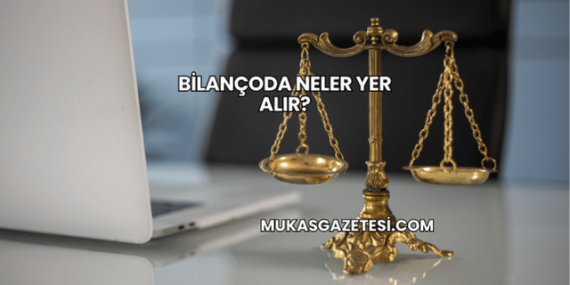 Bilançoda Neler Yer Alır?