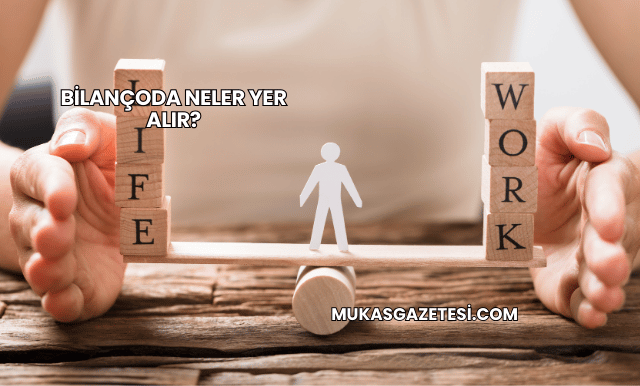 Bilançoda Neler Yer Alır?