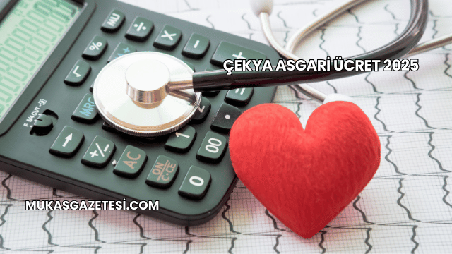 Çekya Asgari Ücret 2025