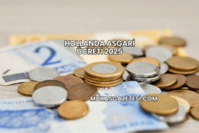 Hollanda Asgari Ücreti 2025