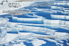 Kalsiyum Formiyat Ne İşe Yarar?
