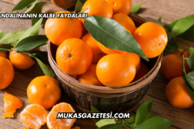 Mandalinanın Kalbe Faydaları