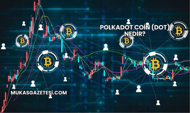 Polkadot Coin (DOT) Nedir?