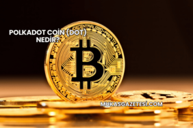 Polkadot Coin (DOT) Nedir?