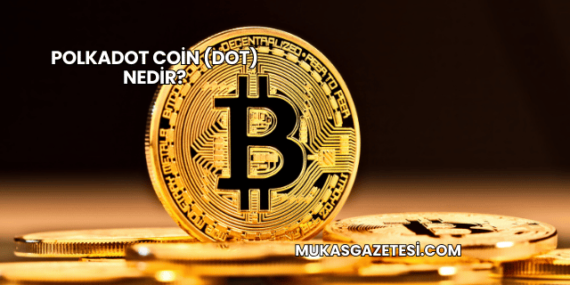 Polkadot Coin (DOT) Nedir?