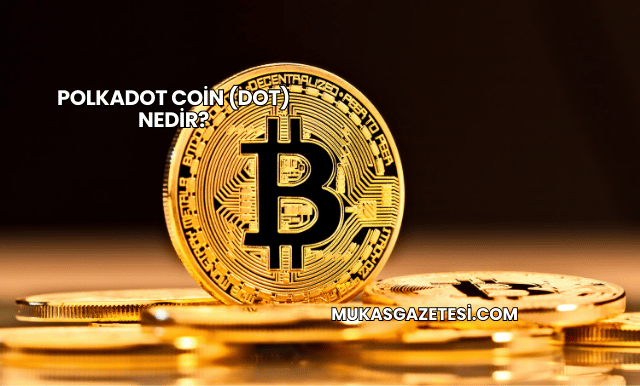 Polkadot Coin (DOT) Nedir?