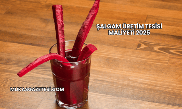 Şalgam Üretim Tesisi Maliyeti 2025