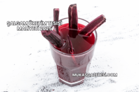 Şalgam Üretim Tesisi Maliyeti 2025