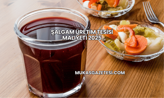 Şalgam Üretim Tesisi Maliyeti 2025