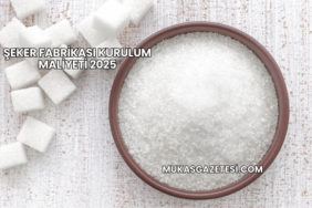 Şeker Fabrikası Kurulum Maliyeti 2025