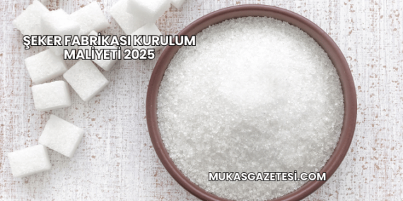 Şeker Fabrikası Kurulum Maliyeti 2025