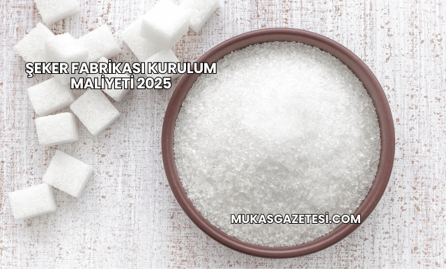Şeker Fabrikası Kurulum Maliyeti 2025