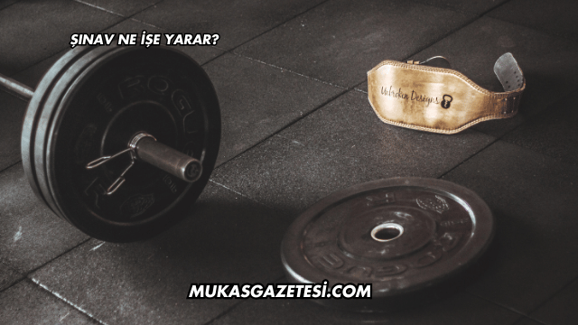 Şınav Ne İşe Yarar?