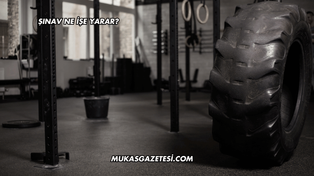 Şınav Ne İşe Yarar?