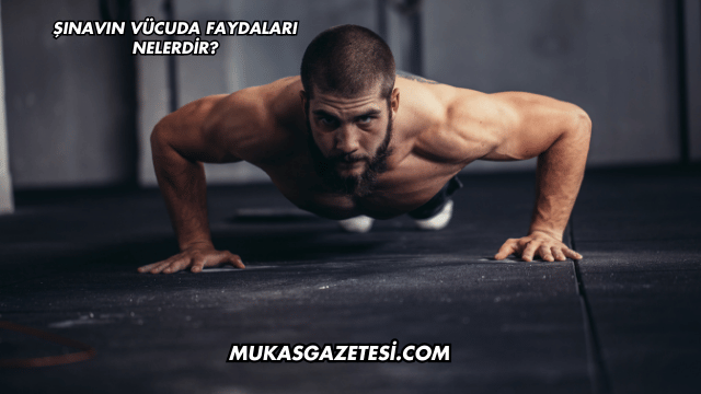 Şınavın Vücuda Faydaları Nelerdir?