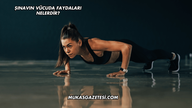 Şınavın Vücuda Faydaları Nelerdir?