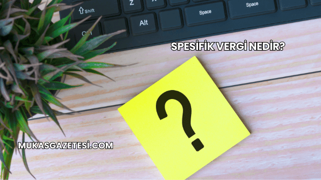 Spesifik Vergi Nedir?