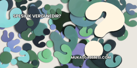 Spesifik Vergi Nedir?