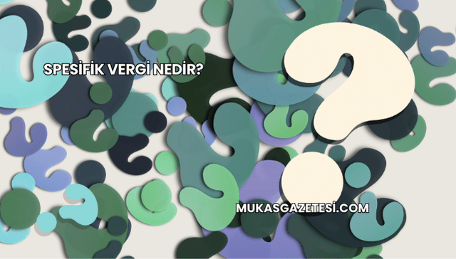 Spesifik Vergi Nedir?