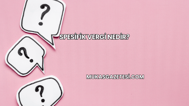 Spesifik Vergi Nedir?