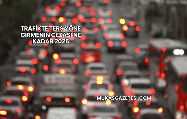Trafikte Ters Yöne Girmenin Cezası Ne Kadar 2025