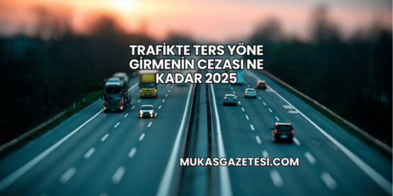 Trafikte Ters Yöne Girmenin Cezası Ne Kadar 2025