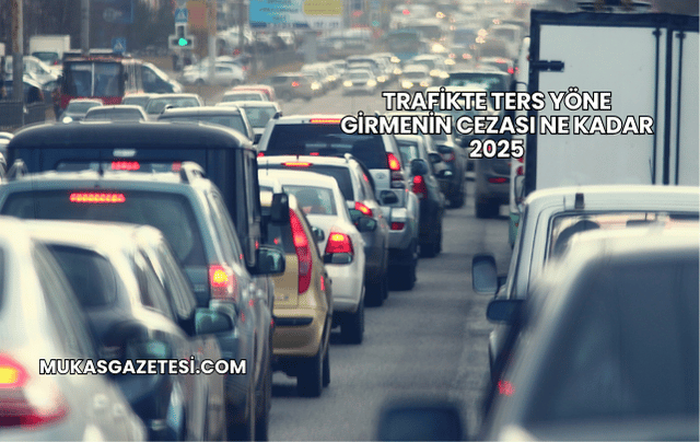 Trafikte Ters Yöne Girmenin Cezası Ne Kadar 2025