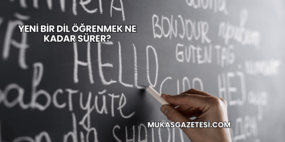 Yeni Bir Dil Öğrenmek Ne Kadar Sürer?