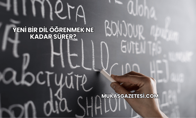 Yeni Bir Dil Öğrenmek Ne Kadar Sürer?