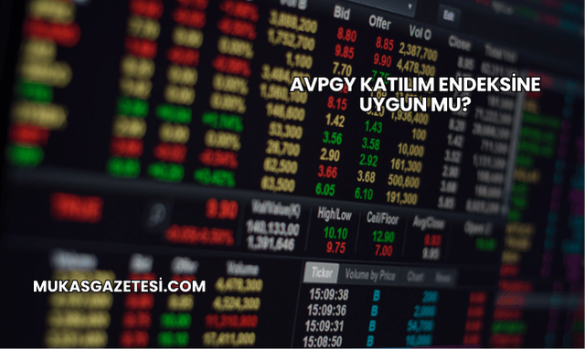 AVPGY Katılım Endeksine Uygun mu?