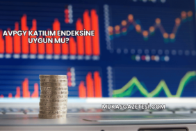 AVPGY Katılım Endeksine Uygun mu?