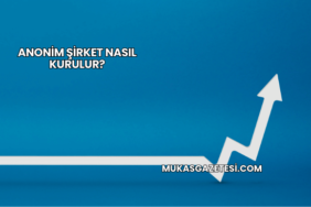 Anonim Şirket Nasıl Kurulur?