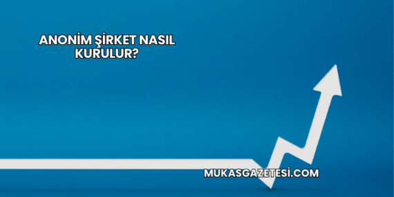 Anonim Şirket Nasıl Kurulur?