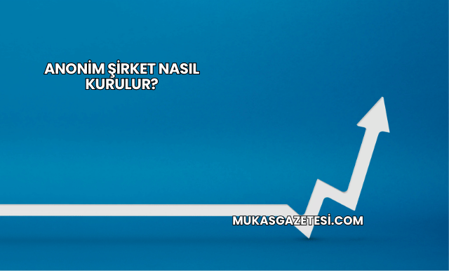Anonim Şirket Nasıl Kurulur?