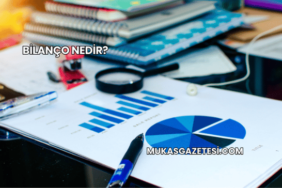 Bilanço Nedir?