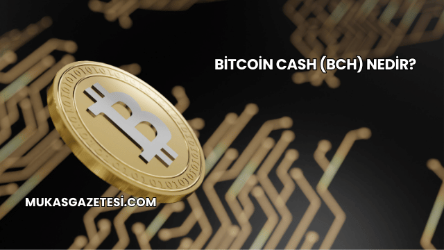 Bitcoin Cash (BCH) Nedir?