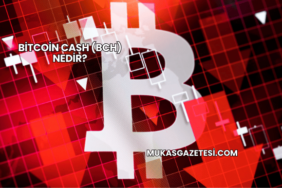 Bitcoin Cash (BCH) Nedir?