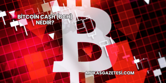 Bitcoin Cash (BCH) Nedir?