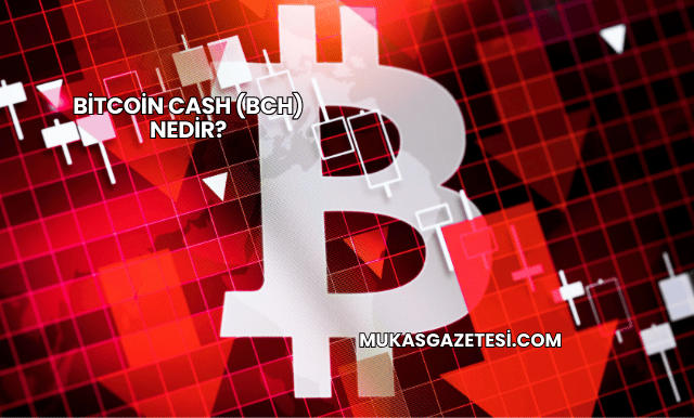 Bitcoin Cash (BCH) Nedir?