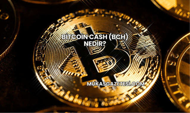 Bitcoin Cash (BCH) Nedir?