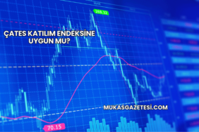 ÇATES Katılım Endeksine Uygun mu?