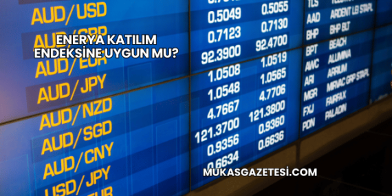 Enerya Katılım Endeksine Uygun mu?