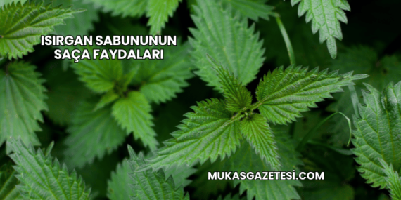 Isırgan Sabununun Saça Faydaları
