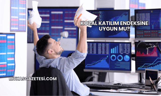 Kozal Katılım Endeksine Uygun mu?