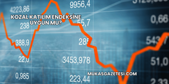 Kozal Katılım Endeksine Uygun mu?